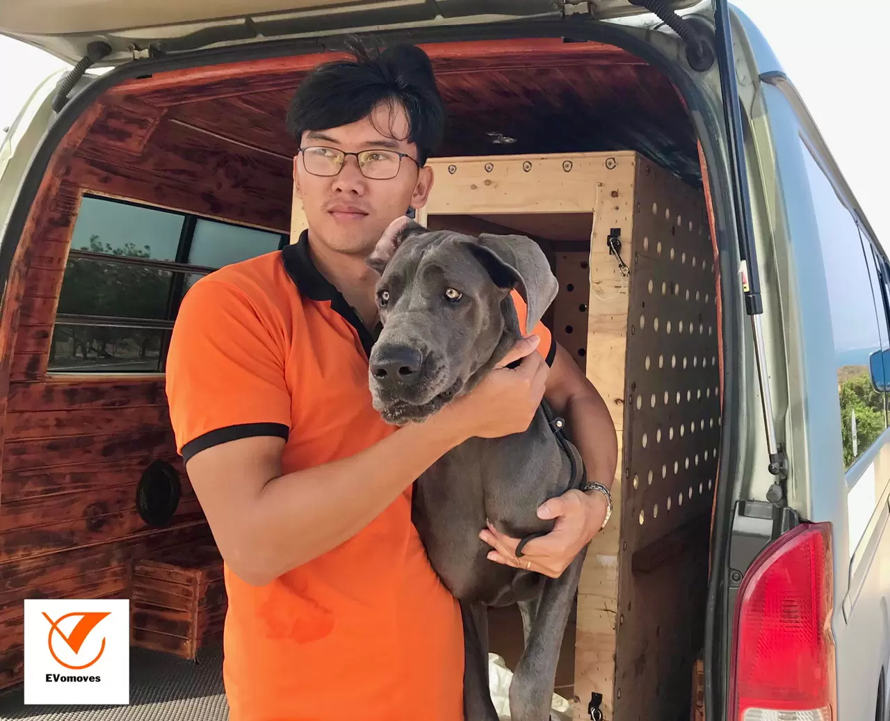 moving-to-vietnam-with-pets-5